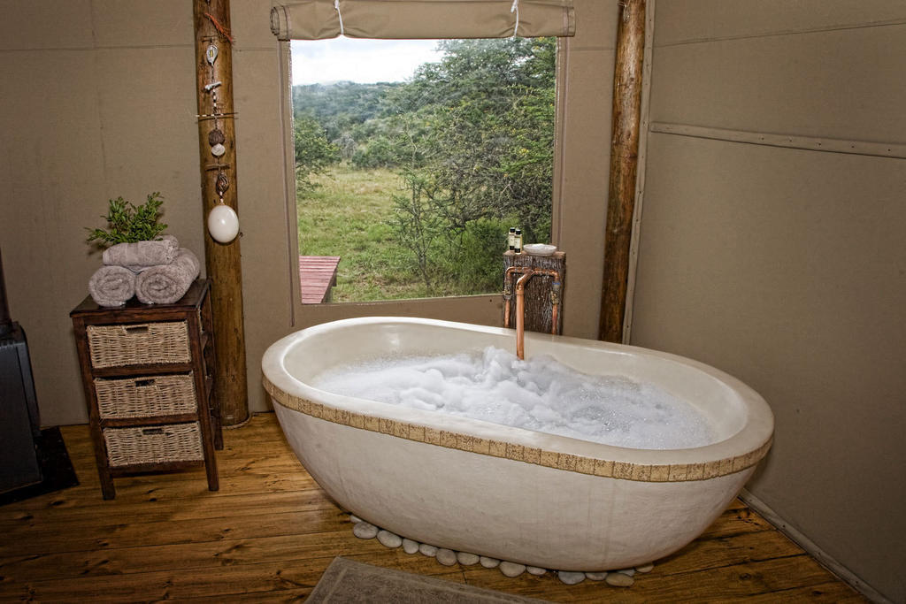 Bush Lodge - Reserva de Amakhala Habitación foto
